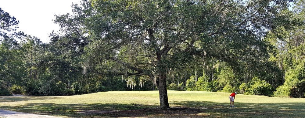 The Tree Can Make for a Tough Approach on Number 9