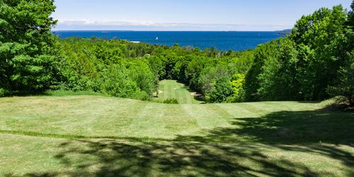 Alpine Golf Announces Leagues Starrting May 30th