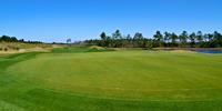 Cape Fear National Benefits from Use of Hybrid Bentgrass