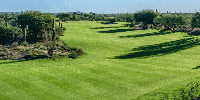 Getting To Know: Desert Forest Golf Club