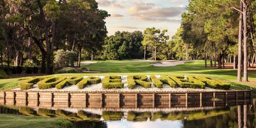 Innisbrook Resort - Copperhead Course Florida golf packages
