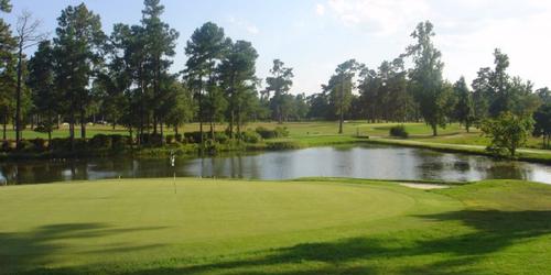 Shannon Greens Golf Club Golf Package