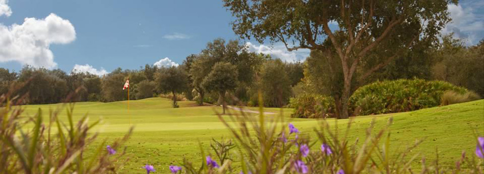  Fun Family Golf Games to Play on Stonegate Golf Course